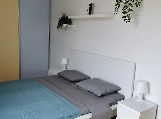 Apartment City Center Flash